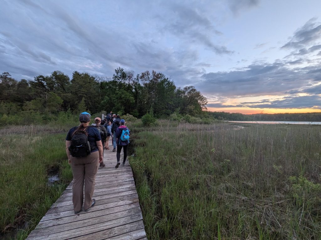 Participants hike a boardwalk across a marsh at dusk during an Outdoor Inclusive Leadership Certification course