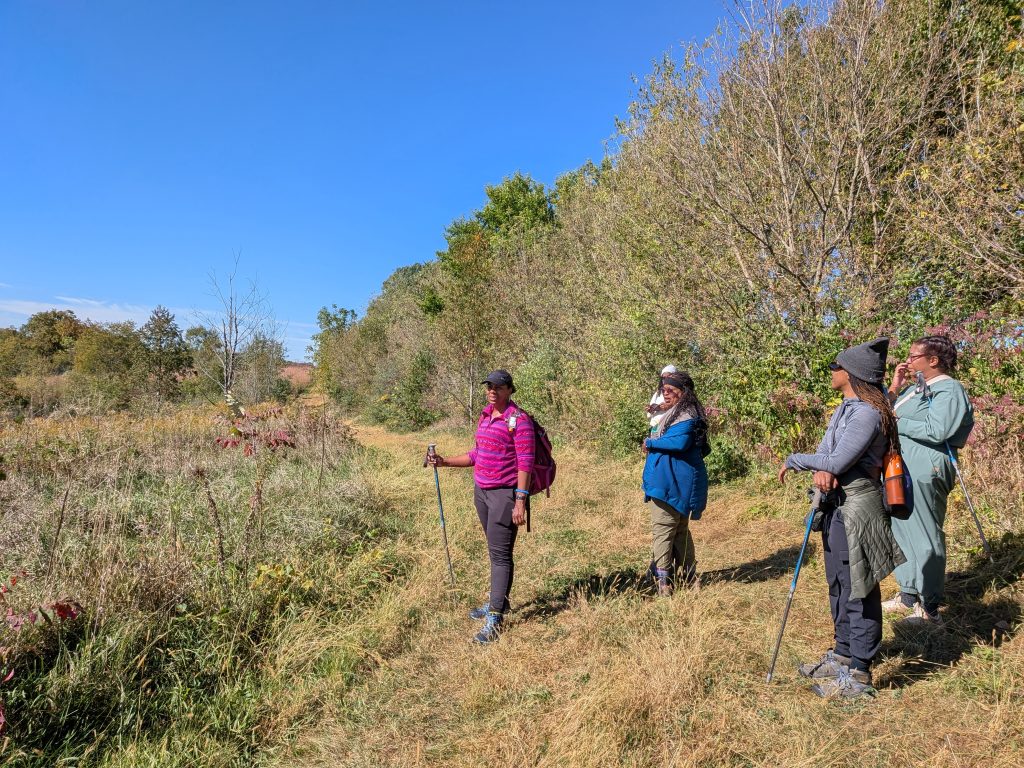 Outdoor Afro participants hiking an autumn trail at Starved Rock
